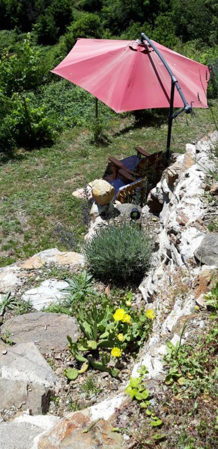 Gites Chez Daniel "Cevennes 1" Mars  Exteriör bild
