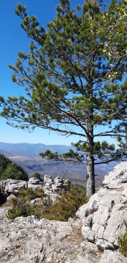 Gites Chez Daniel "Cevennes 1" Mars  Exteriör bild